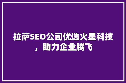 拉萨SEO公司优选火星科技，助力企业腾飞