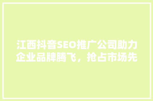 江西抖音SEO推广公司助力企业品牌腾飞，抢占市场先机