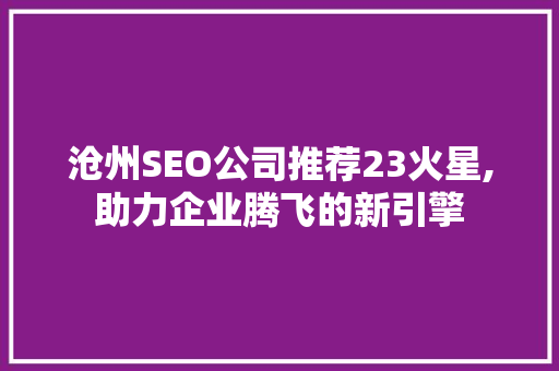 沧州SEO公司推荐23火星,助力企业腾飞的新引擎