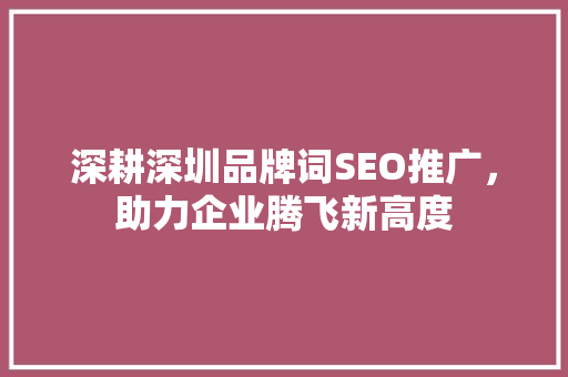 深耕深圳品牌词SEO推广，助力企业腾飞新高度
