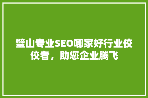 璧山专业SEO哪家好行业佼佼者，助您企业腾飞