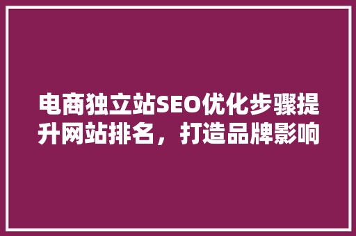 电商独立站SEO优化步骤提升网站排名，打造品牌影响力