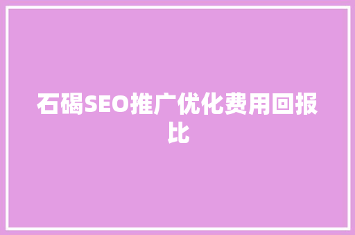 石碣SEO推广优化费用回报比