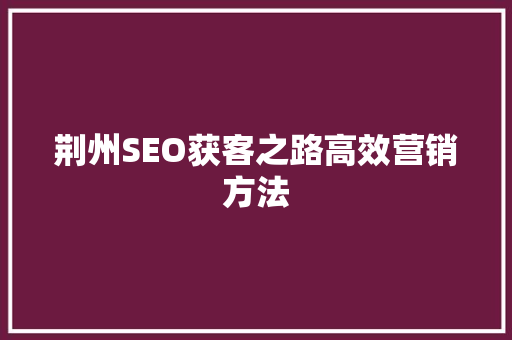 荆州SEO获客之路高效营销方法