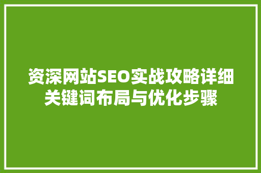 资深网站SEO实战攻略详细关键词布局与优化步骤