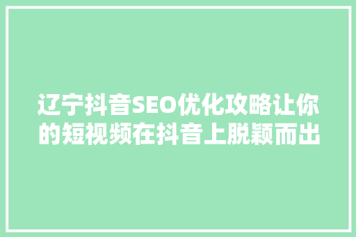 辽宁抖音SEO优化攻略让你的短视频在抖音上脱颖而出