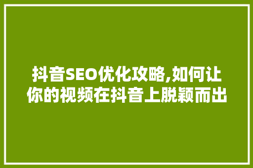 抖音SEO优化攻略,如何让你的视频在抖音上脱颖而出