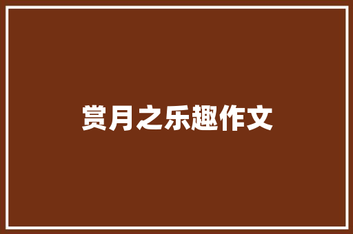 代码转曲科技与艺术的完美融合