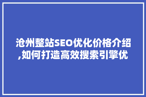 沧州整站SEO优化价格介绍,如何打造高效搜索引擎优化步骤