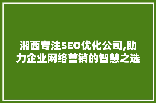 湘西专注SEO优化公司,助力企业网络营销的智慧之选