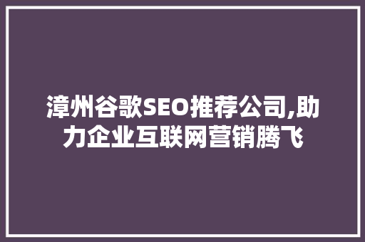 漳州谷歌SEO推荐公司,助力企业互联网营销腾飞