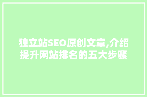 独立站SEO原创文章,介绍提升网站排名的五大步骤