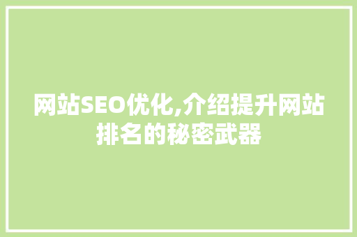 网站SEO优化,介绍提升网站排名的秘密武器