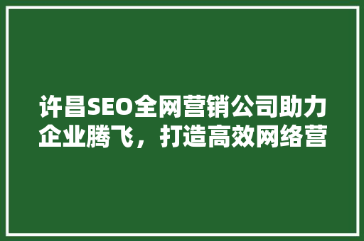 许昌SEO全网营销公司助力企业腾飞，打造高效网络营销新格局