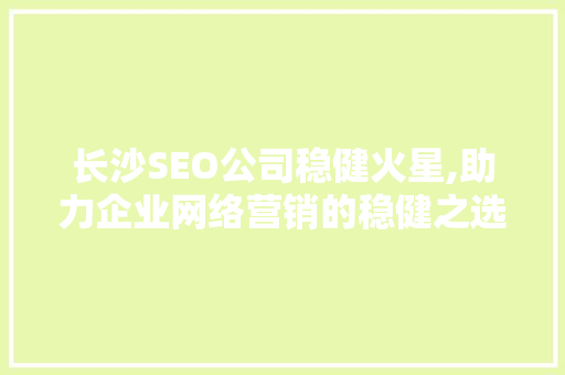 长沙SEO公司稳健火星,助力企业网络营销的稳健之选