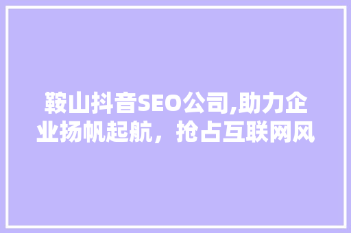 鞍山抖音SEO公司,助力企业扬帆起航，抢占互联网风口