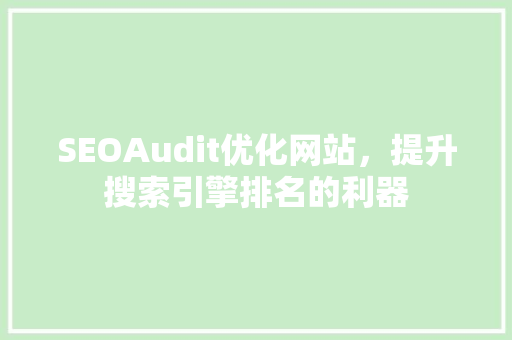 SEOAudit优化网站，提升搜索引擎排名的利器