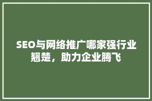 SEO与网络推广哪家强行业翘楚，助力企业腾飞