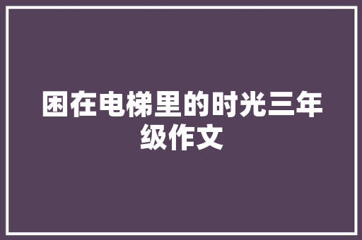 代码飞马科技革新的引擎，未来世界的钥匙