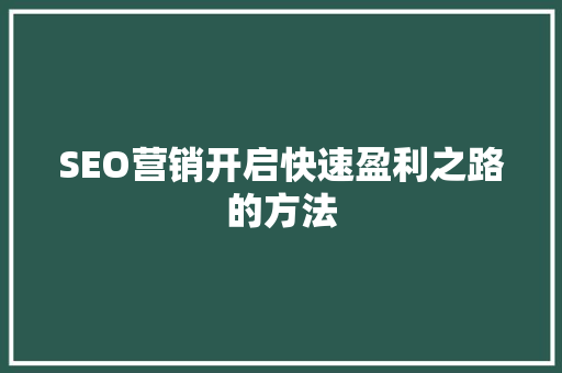 SEO营销开启快速盈利之路的方法