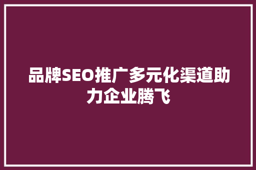 品牌SEO推广多元化渠道助力企业腾飞