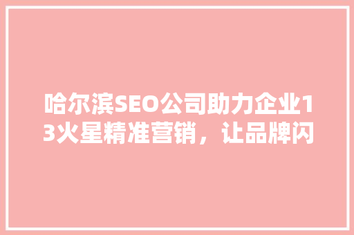 哈尔滨SEO公司助力企业13火星精准营销，让品牌闪耀星空