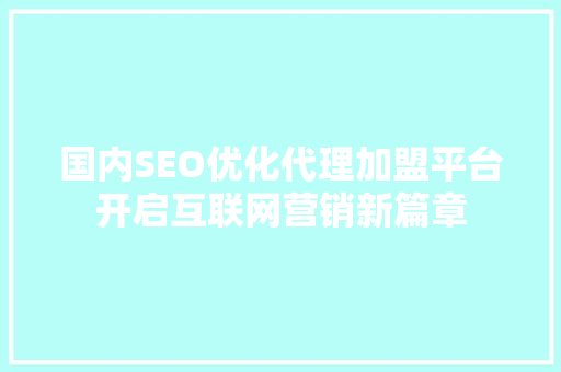 国内SEO优化代理加盟平台开启互联网营销新篇章