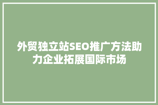 外贸独立站SEO推广方法助力企业拓展国际市场