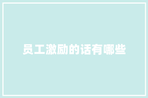 分米代码引领编程教育新潮流