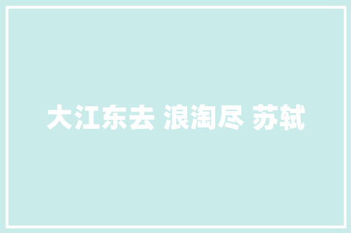 宁波企业SEO外包专业助力，让您的网站脱颖而出