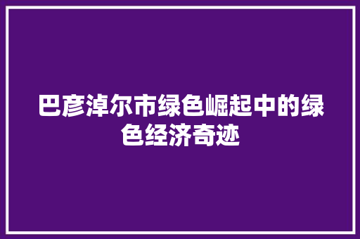 巴彦淖尔市绿色崛起中的绿色经济奇迹