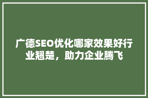 广德SEO优化哪家效果好行业翘楚，助力企业腾飞  第1张