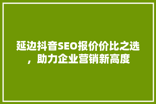 延边抖音SEO报价价比之选，助力企业营销新高度  第1张