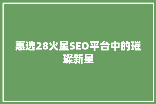 惠选28火星SEO平台中的璀璨新星