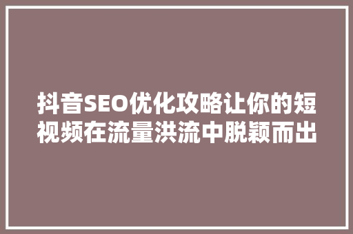 抖音SEO优化攻略让你的短视频在流量洪流中脱颖而出  第1张