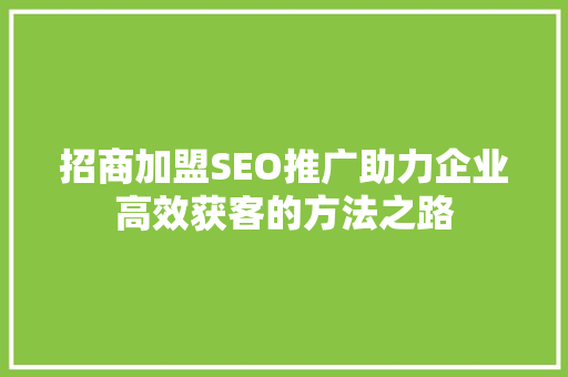 招商加盟SEO推广助力企业高效获客的方法之路
