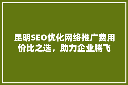 昆明SEO优化网络推广费用价比之选，助力企业腾飞
