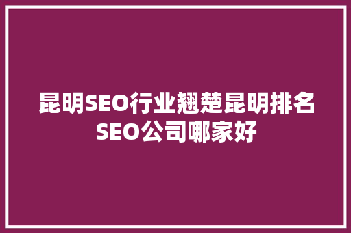 昆明SEO行业翘楚昆明排名SEO公司哪家好