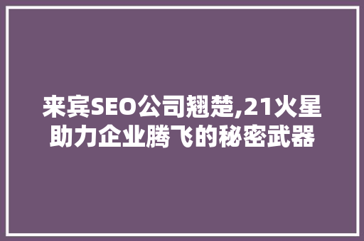 来宾SEO公司翘楚,21火星助力企业腾飞的秘密武器