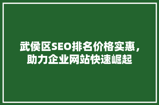 武侯区SEO排名价格实惠，助力企业网站快速崛起
