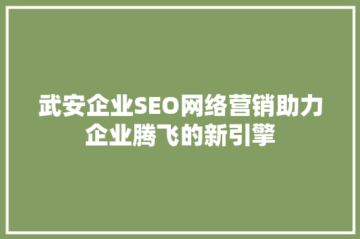 武安企业SEO网络营销助力企业腾飞的新引擎
