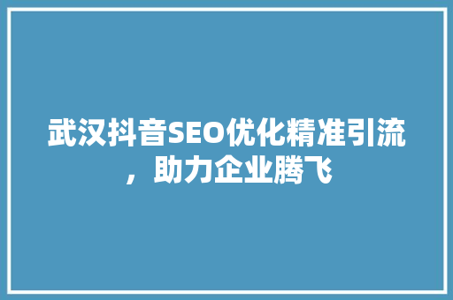 武汉抖音SEO优化精准引流，助力企业腾飞