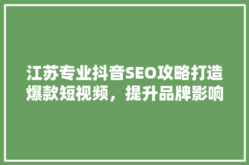 江苏专业抖音SEO攻略打造爆款短视频，提升品牌影响力