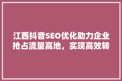 江西抖音SEO优化助力企业抢占流量高地，实现高效转化