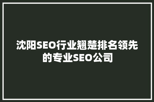 沈阳SEO行业翘楚排名领先的专业SEO公司