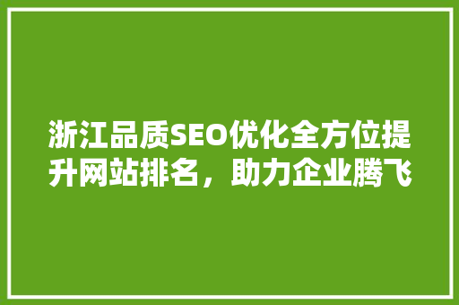 浙江品质SEO优化全方位提升网站排名，助力企业腾飞
