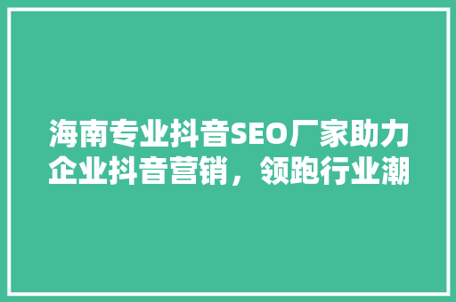 海南专业抖音SEO厂家助力企业抖音营销，领跑行业潮流