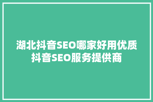 湖北抖音SEO哪家好用优质抖音SEO服务提供商