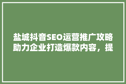 盐城抖音SEO运营推广攻略助力企业打造爆款内容，提升品牌影响力