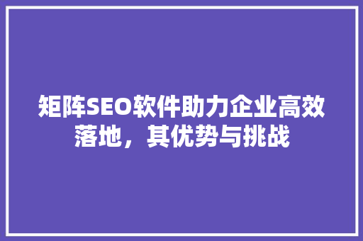 矩阵SEO软件助力企业高效落地，其优势与挑战